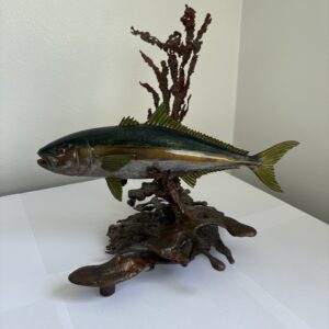 Bronze Kingfish